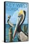 Key West, Florida - Brown Pelican-Lantern Press-Framed Stretched Canvas