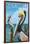 Key West, Florida - Brown Pelican-Lantern Press-Framed Art Print
