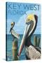 Key West, Florida - Brown Pelican-Lantern Press-Stretched Canvas