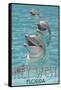 Key West, Florida - Dolphin Trio-Lantern Press-Framed Stretched Canvas