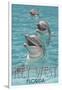 Key West, Florida - Dolphin Trio-Lantern Press-Framed Art Print