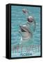 Key West, Florida - Dolphin Trio-Lantern Press-Framed Stretched Canvas