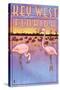 Key West, Florida - Flamingos-Lantern Press-Stretched Canvas