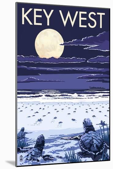 Key West, Florida - Sea Turtles Hatching-Lantern Press-Mounted Art Print