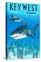Key West, Florida - Sharks-Lantern Press-Stretched Canvas