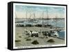 Key West, Florida - Sponge Market at P and O Docks-Lantern Press-Framed Stretched Canvas