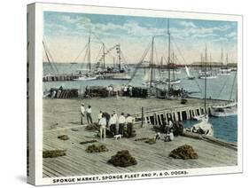 Key West, Florida - Sponge Market at P and O Docks-Lantern Press-Stretched Canvas