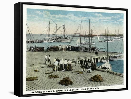 Key West, Florida - Sponge Market at P and O Docks-Lantern Press-Framed Stretched Canvas