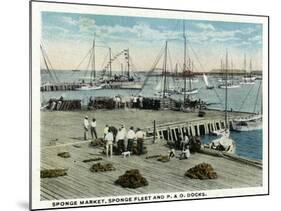 Key West, Florida - Sponge Market at P and O Docks-Lantern Press-Mounted Art Print