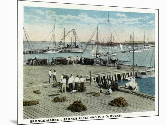 Key West, Florida - Sponge Market at P and O Docks-Lantern Press-Mounted Art Print