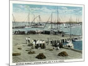 Key West, Florida - Sponge Market at P and O Docks-Lantern Press-Mounted Art Print