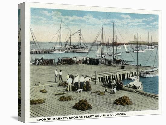 Key West, Florida - Sponge Market at P and O Docks-Lantern Press-Stretched Canvas