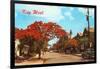 Key West, Florida-null-Framed Art Print