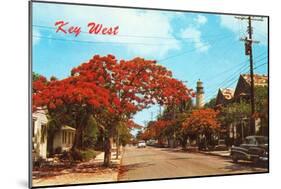 Key West, Florida-null-Mounted Art Print