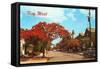 Key West, Florida-null-Framed Stretched Canvas