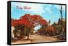 Key West, Florida-null-Framed Stretched Canvas