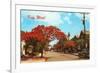 Key West, Florida-null-Framed Premium Giclee Print