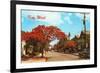 Key West, Florida-null-Framed Premium Giclee Print