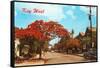 Key West, Florida-null-Framed Stretched Canvas