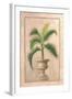 Key West Palm l-Welby-Framed Art Print