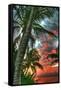 Key West Palm Sunrise Vertical-Robert Goldwitz-Framed Stretched Canvas