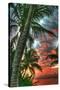 Key West Palm Sunrise Vertical-Robert Goldwitz-Stretched Canvas