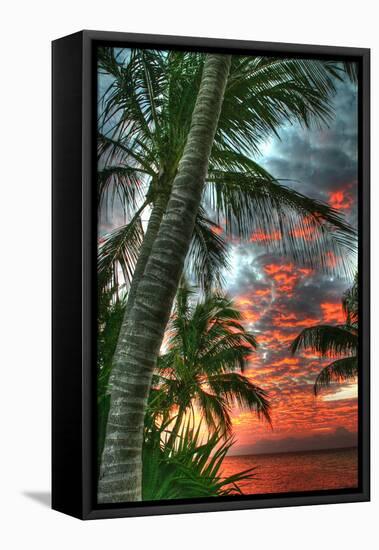 Key West Palm Sunrise Vertical-Robert Goldwitz-Framed Stretched Canvas