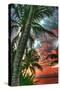 Key West Palm Sunrise Vertical-Robert Goldwitz-Stretched Canvas