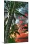 Key West Palm Sunrise Vertical-Robert Goldwitz-Mounted Photographic Print