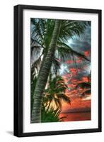 Key West Palm Sunrise Vertical-Robert Goldwitz-Framed Photographic Print