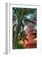 Key West Palm Sunrise Vertical-Robert Goldwitz-Framed Photographic Print