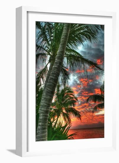 Key West Palm Sunrise Vertical-Robert Goldwitz-Framed Photographic Print