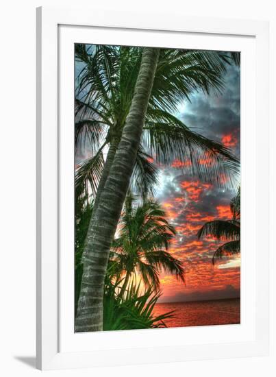 Key West Palm Sunrise Vertical-Robert Goldwitz-Framed Photographic Print