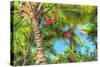 Key West Pink Flowers Palm-Robert Goldwitz-Stretched Canvas