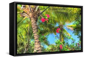 Key West Pink Flowers Palm-Robert Goldwitz-Framed Stretched Canvas