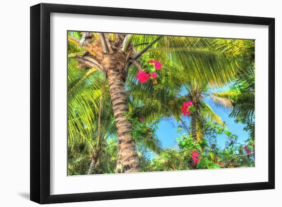 Key West Pink Flowers Palm-Robert Goldwitz-Framed Photographic Print