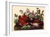 Key West Quail Dove-John James Audubon-Framed Giclee Print