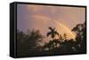 Key West Rainbow 1-Robert Goldwitz-Framed Stretched Canvas