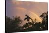 Key West Rainbow 1-Robert Goldwitz-Stretched Canvas