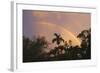 Key West Rainbow 1-Robert Goldwitz-Framed Photographic Print