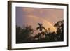 Key West Rainbow 1-Robert Goldwitz-Framed Photographic Print