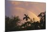 Key West Rainbow 1-Robert Goldwitz-Mounted Photographic Print