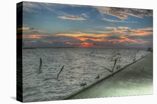 Key West Sunrise Gulls and Pier-Robert Goldwitz-Stretched Canvas