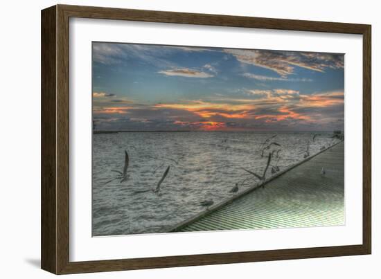 Key West Sunrise Gulls and Pier-Robert Goldwitz-Framed Photographic Print