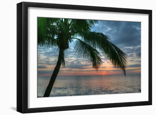 Key West Sunrise One Palm-Robert Goldwitz-Framed Premium Photographic Print