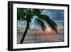 Key West Sunrise One Palm-Robert Goldwitz-Framed Premium Photographic Print