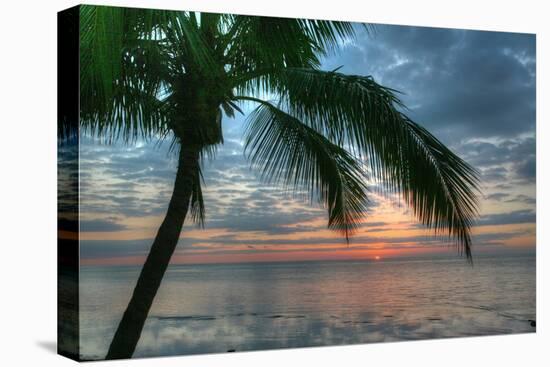 Key West Sunrise One Palm-Robert Goldwitz-Stretched Canvas