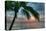 Key West Sunrise One Palm-Robert Goldwitz-Stretched Canvas