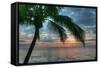 Key West Sunrise One Palm-Robert Goldwitz-Framed Stretched Canvas