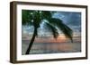 Key West Sunrise One Palm-Robert Goldwitz-Framed Photographic Print